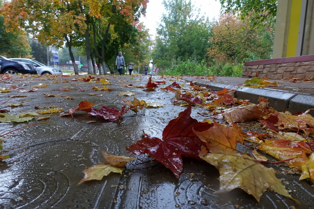 Photograph by Александр Кизим