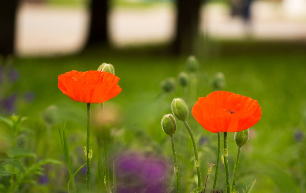 Photograph by Наталья