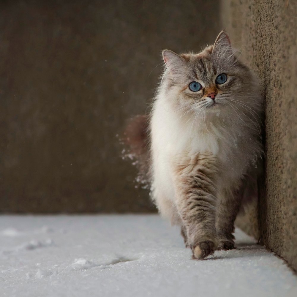 Photograph by Елена Соловьёва