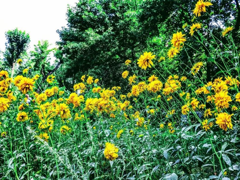 Photograph by Сергей Воронин