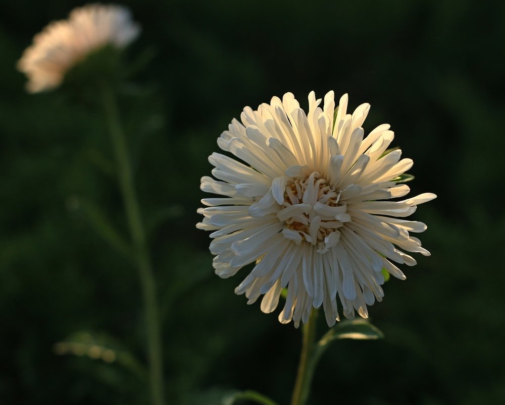 Photograph by Игорь Куленко