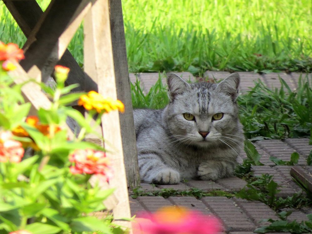 Photograph by Елена Лапина