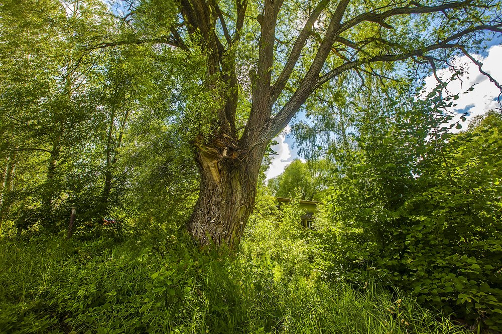 Photograph by Михаил Строев