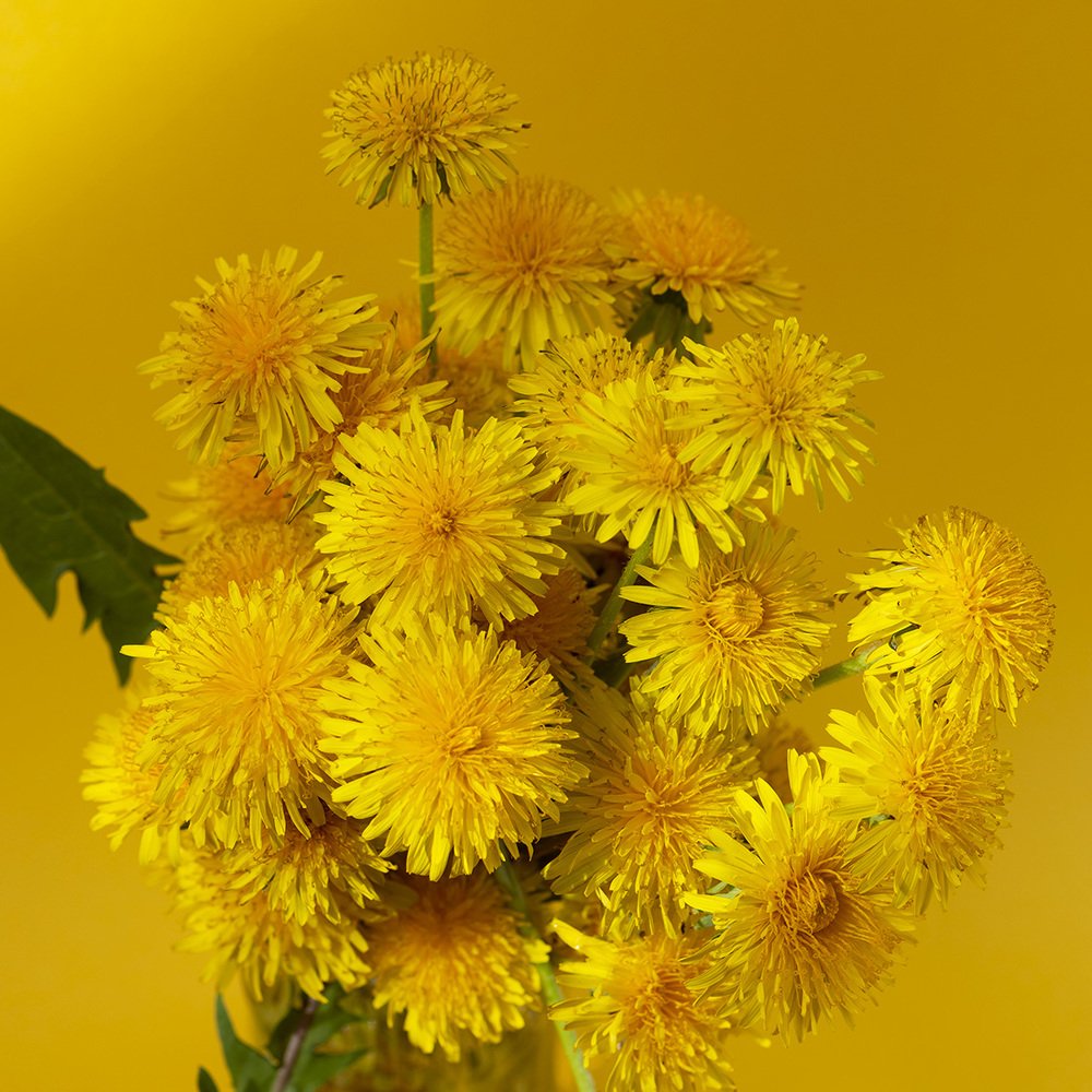 Photograph by Артём Гладченко