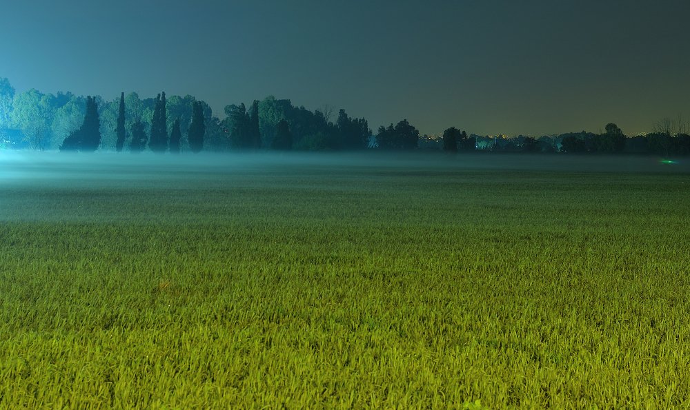 Photograph by Анатолий Хальман