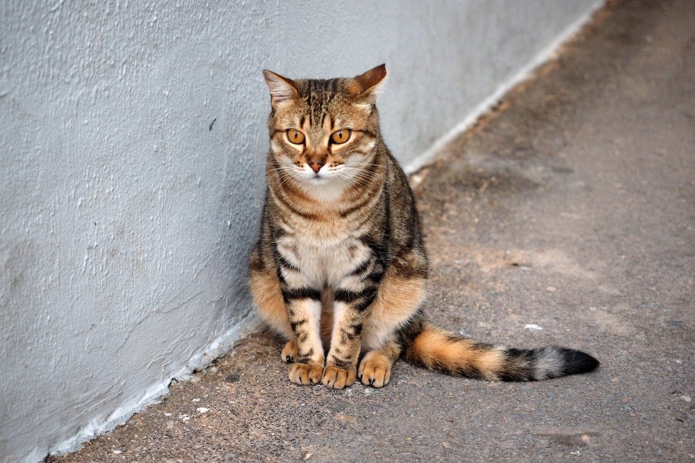 Photograph by Андрей Румянцев