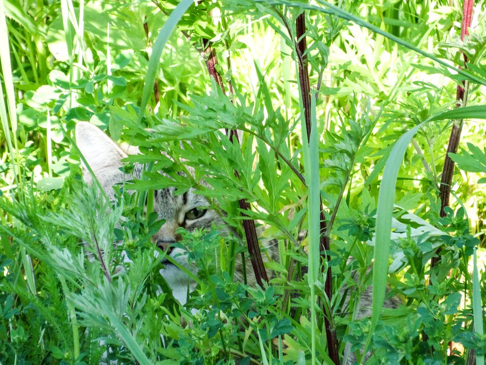 Photograph by Григорий Сергеевич