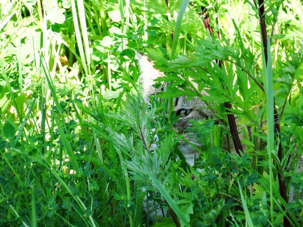 Photograph by Григорий Сергеевич