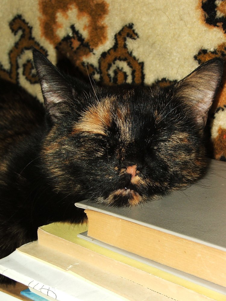 Фотография автора Владислава Андрюнина