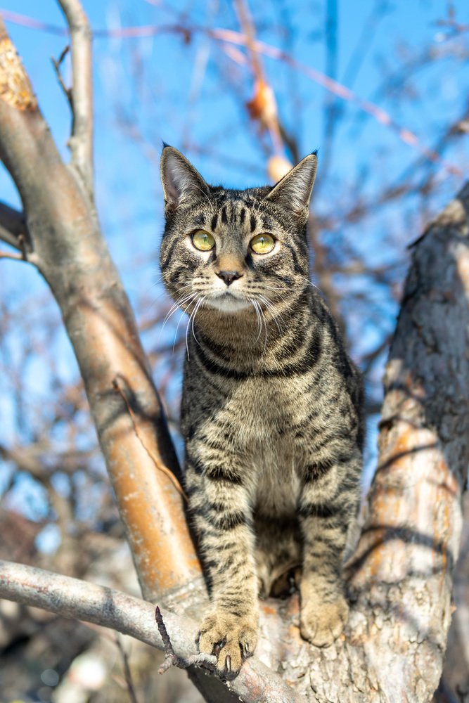 Photograph by Alexey Seafarer