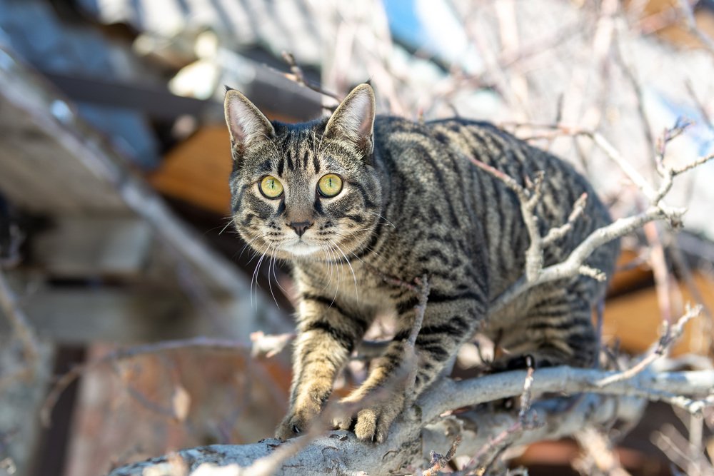 Photograph by Alexey Seafarer
