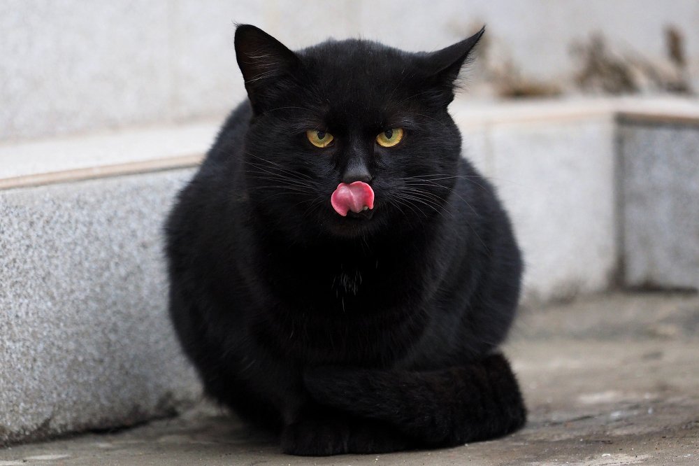 Photograph by Андрей Румянцев