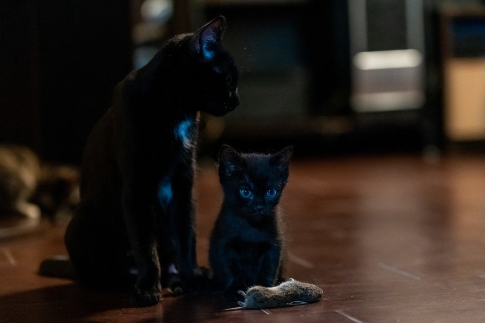 Photograph by Alexey Seafarer