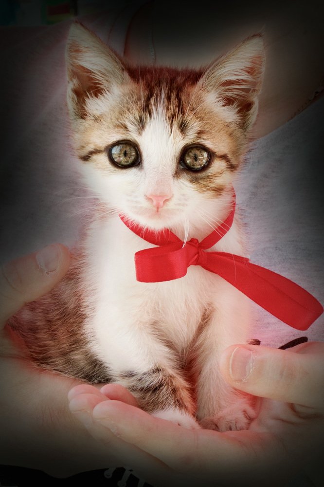 Хрустальные глаза Надежды. Crystal eyes Hope.