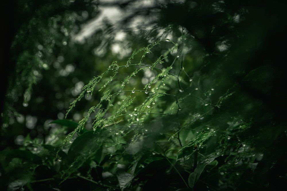 Photograph by Eric