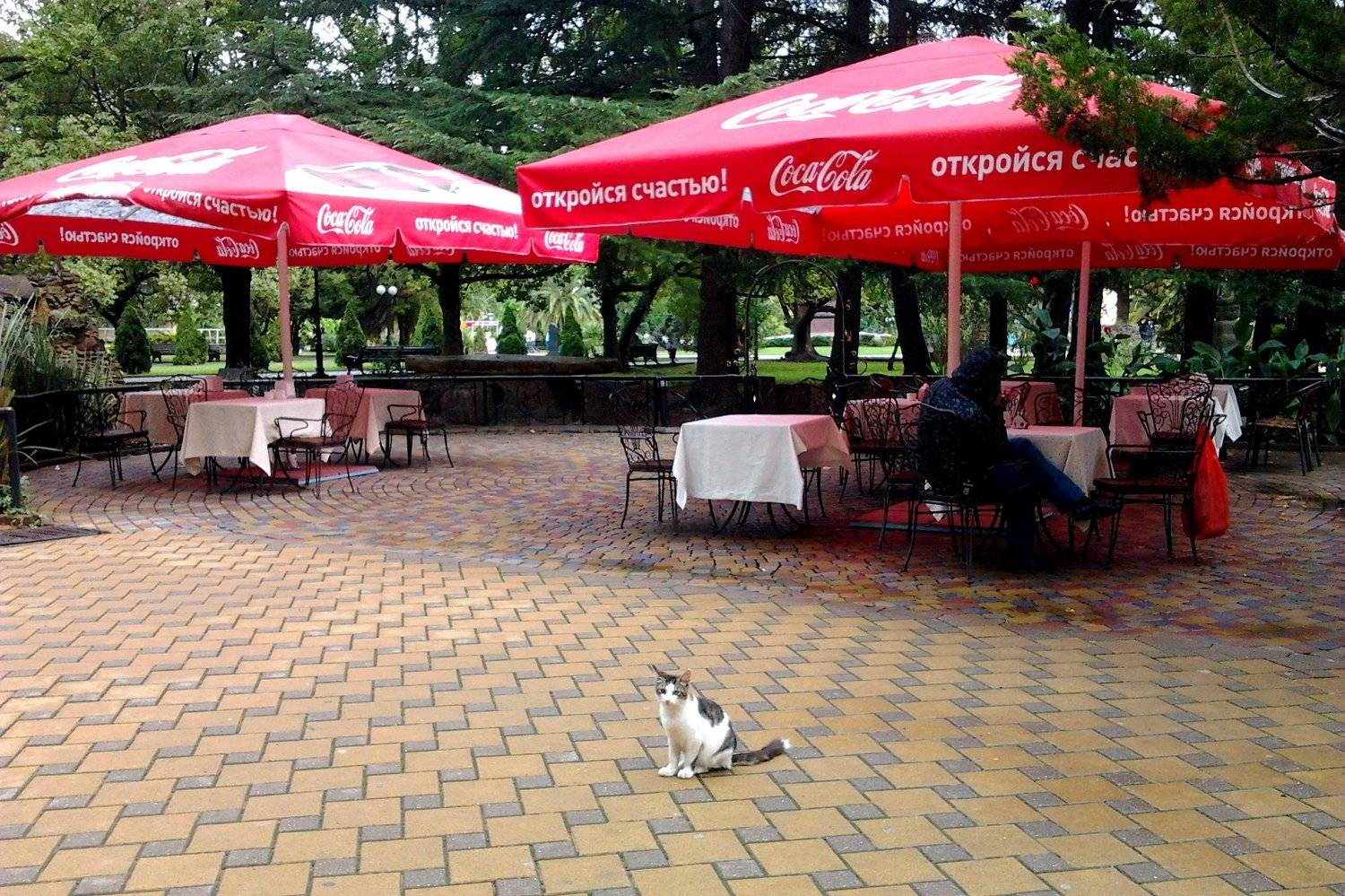 Кошкино хозяйство.