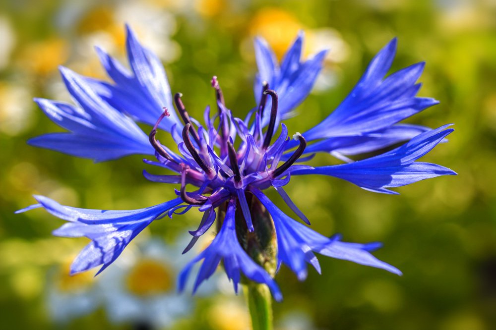 Photograph by Victor Pruhnitskiiy