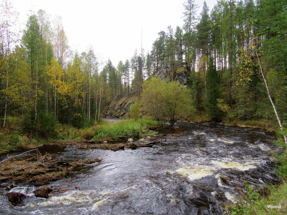 Речка Калья.