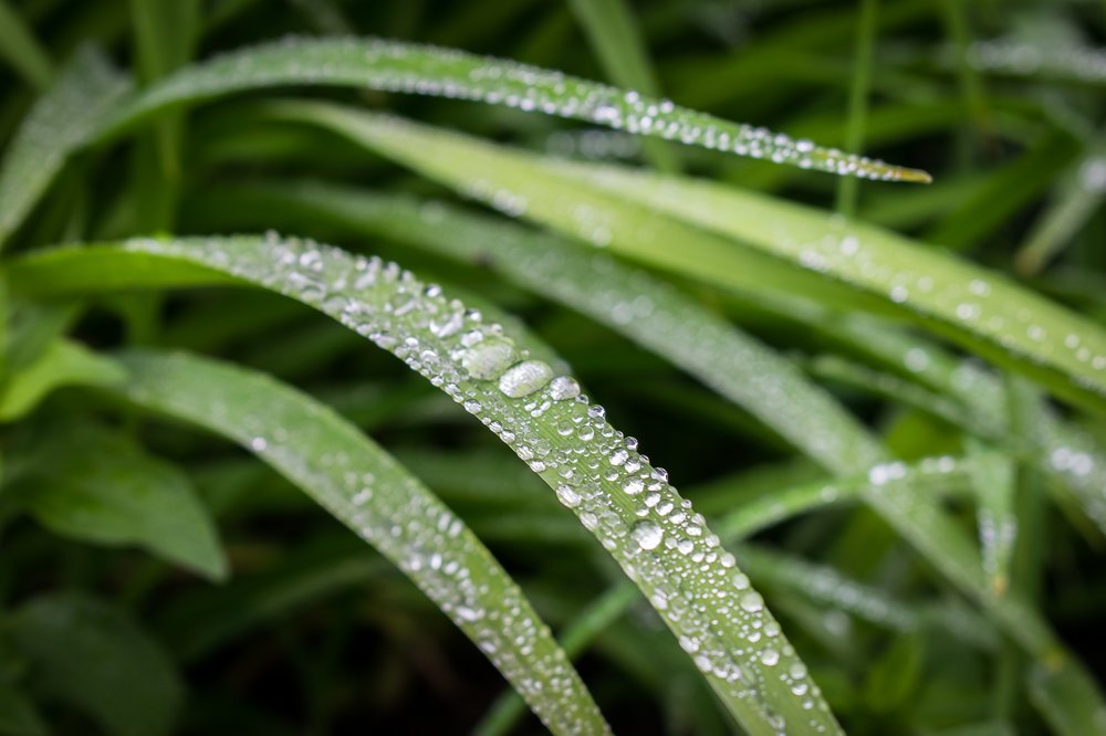 Фотография автора Оксана Белозерская