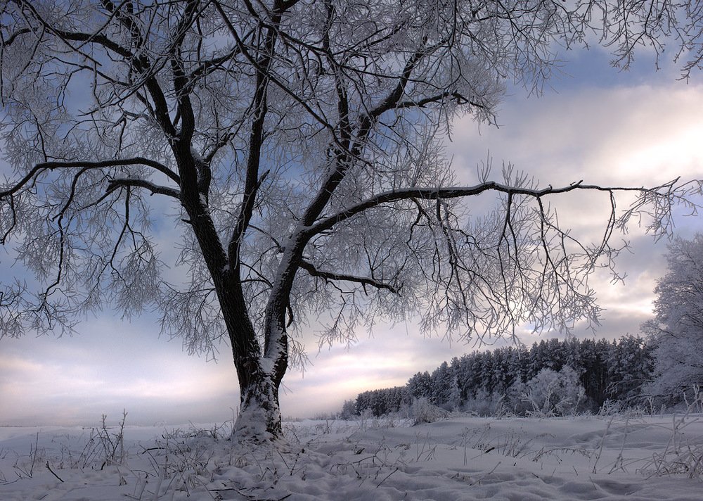 Photograph by Юрий Андреев