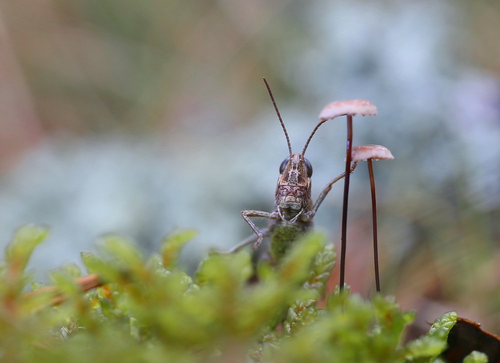 Ты это...заходи,если чё...