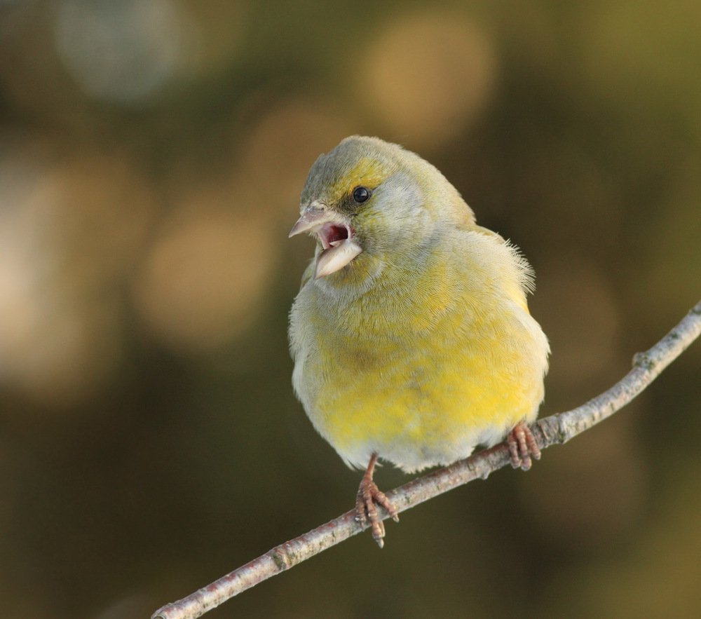 Photograph by Юрий Андреев