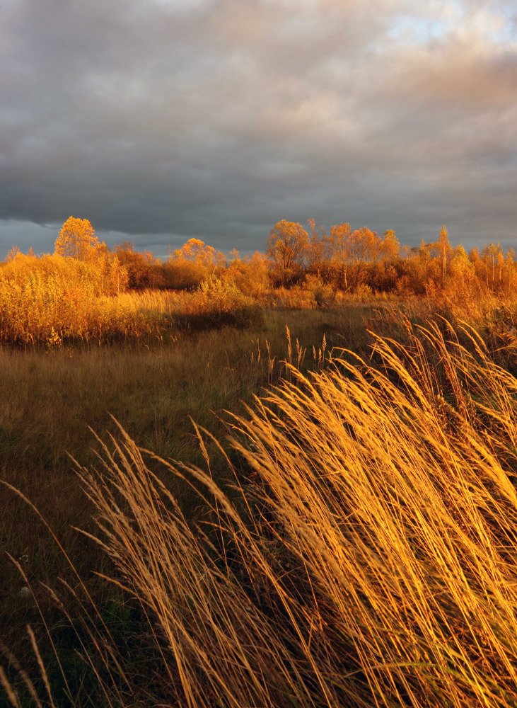 Photograph by Юрий Андреев