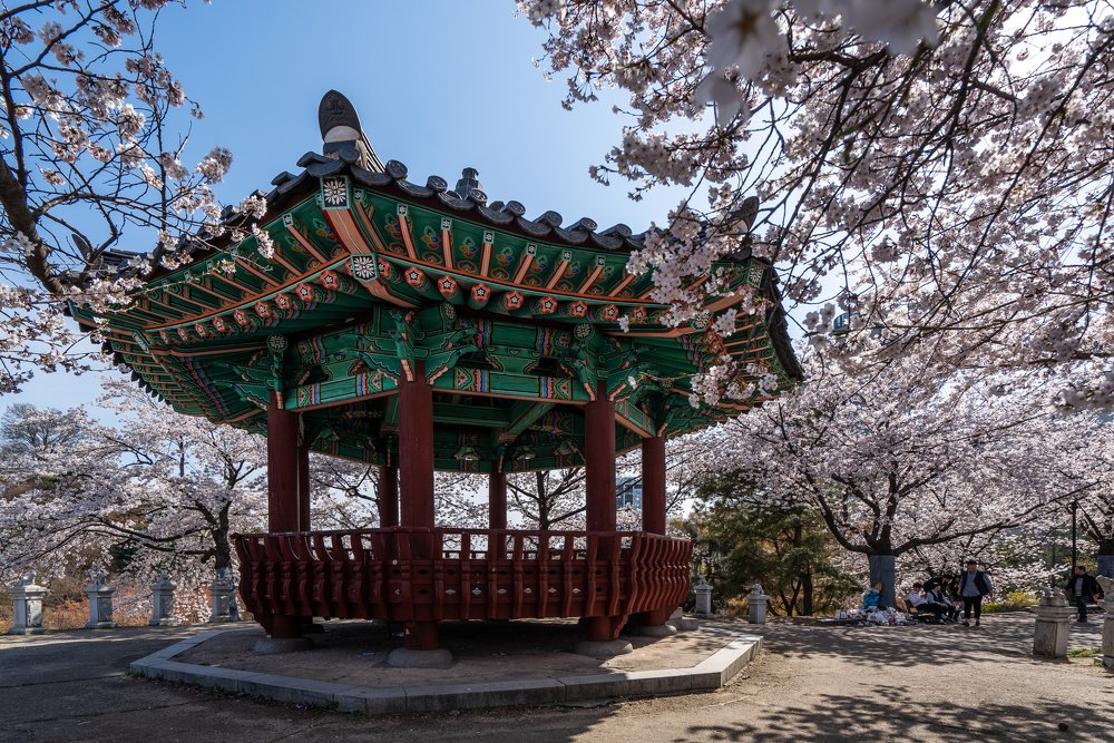 Корейская весна