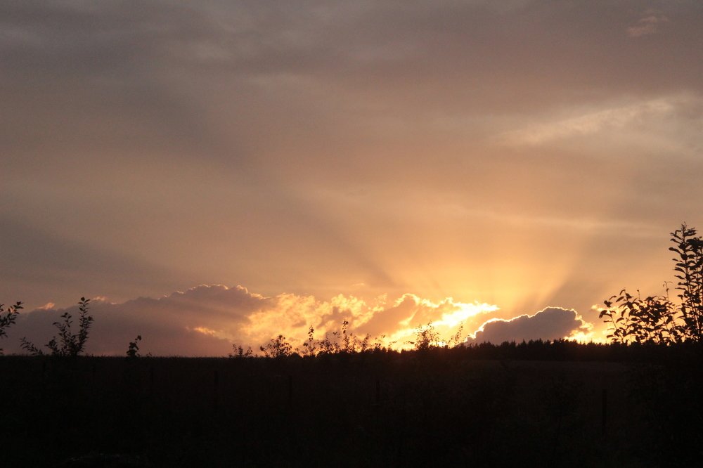 Photograph by Леся Дмітрук