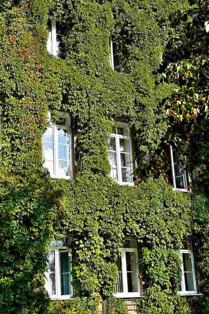 Photograph by Alexey Smal