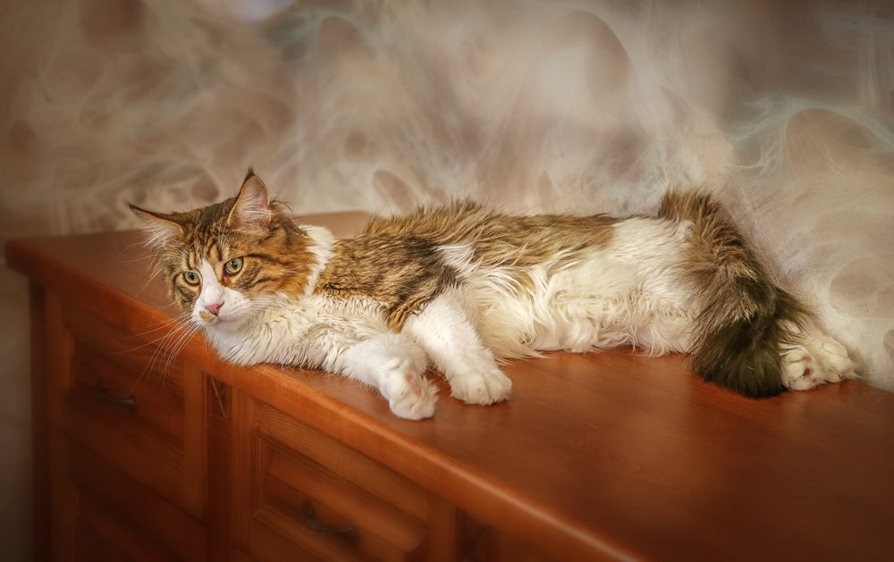 Photograph by Мария Самохина