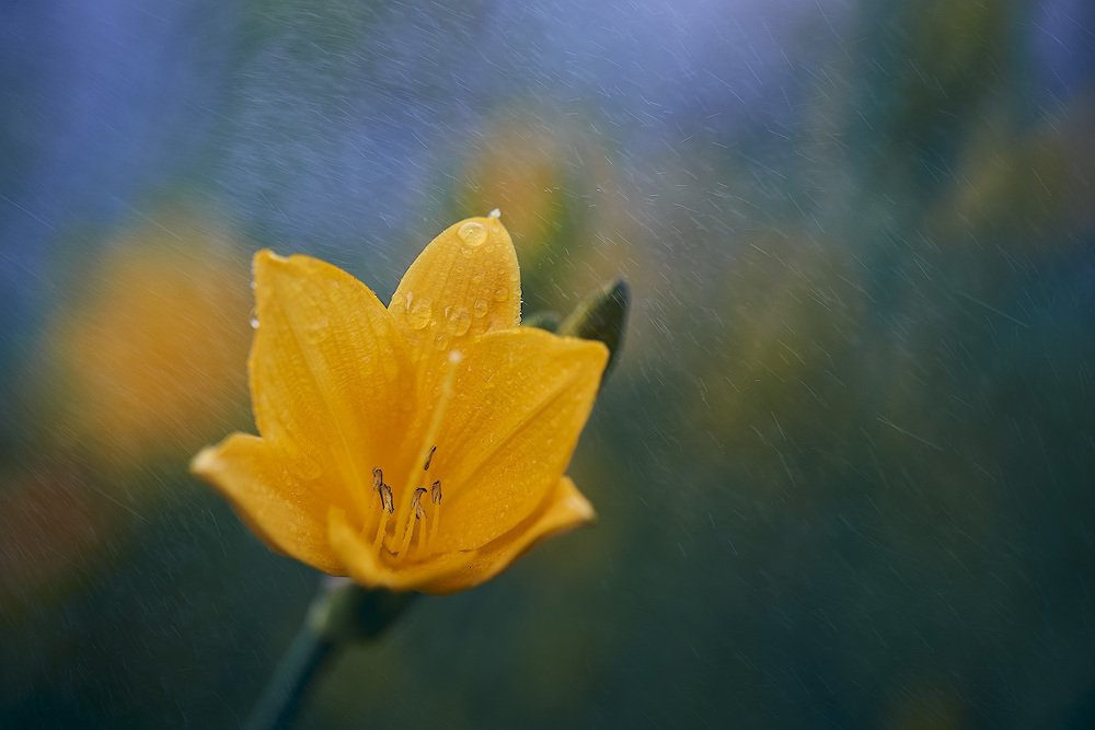 Фотография автора Сергей Овчинников
