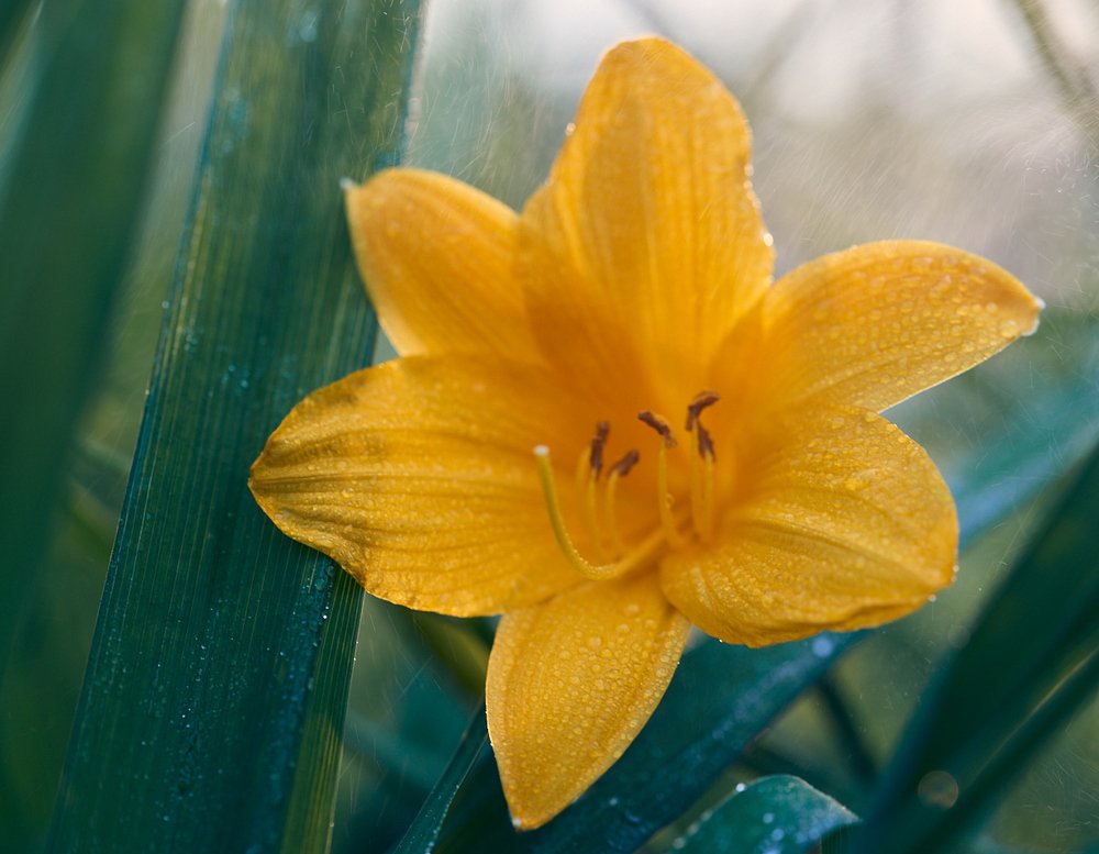 Фотография автора Сергей Овчинников