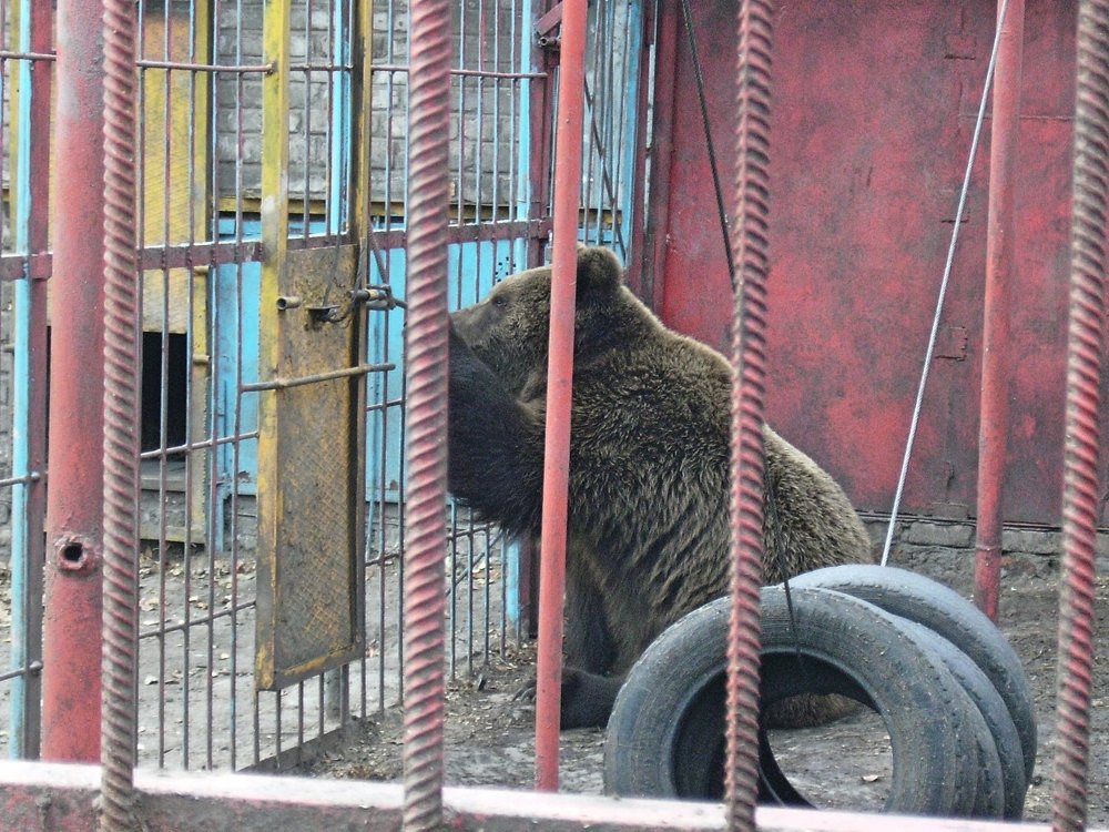 Photograph by Вячеслав Чирин