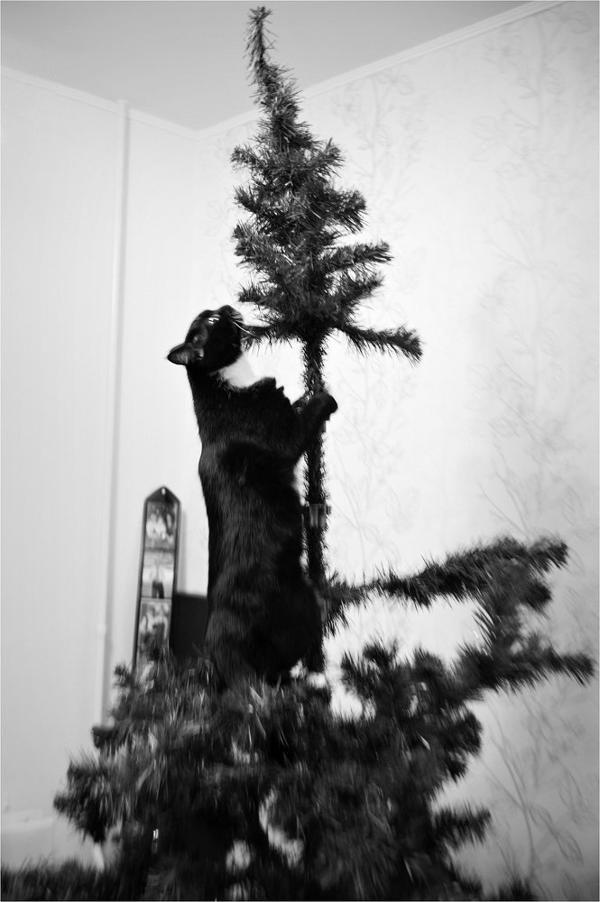 Photograph by Анатолий Васильев