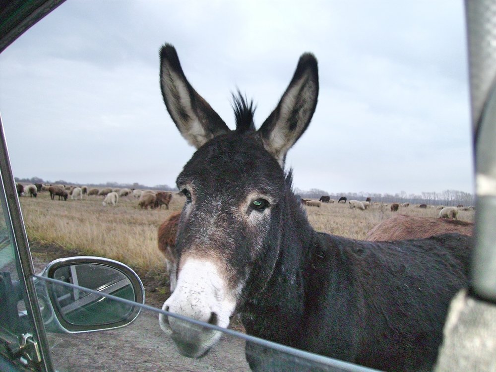 Photograph by Вячеслав Чирин