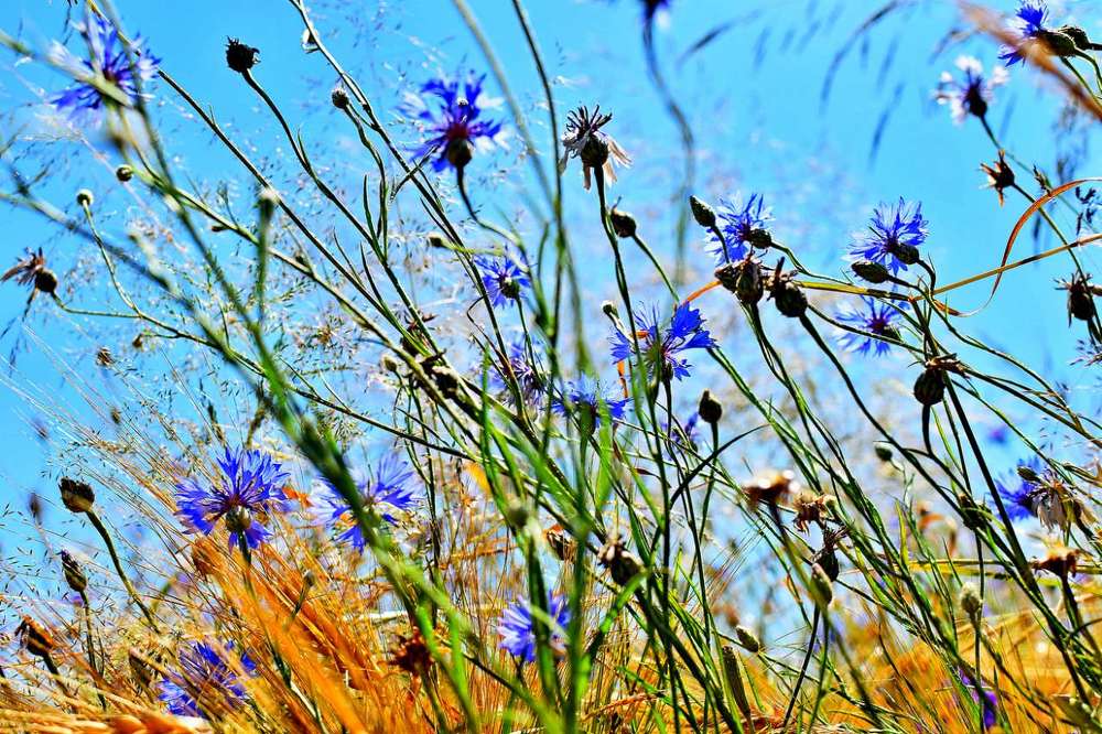 Photograph by Alexey Smal