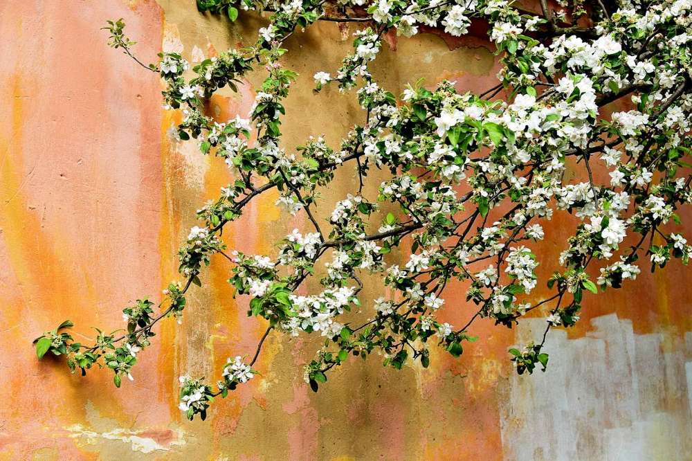 Photograph by Alexey Smal