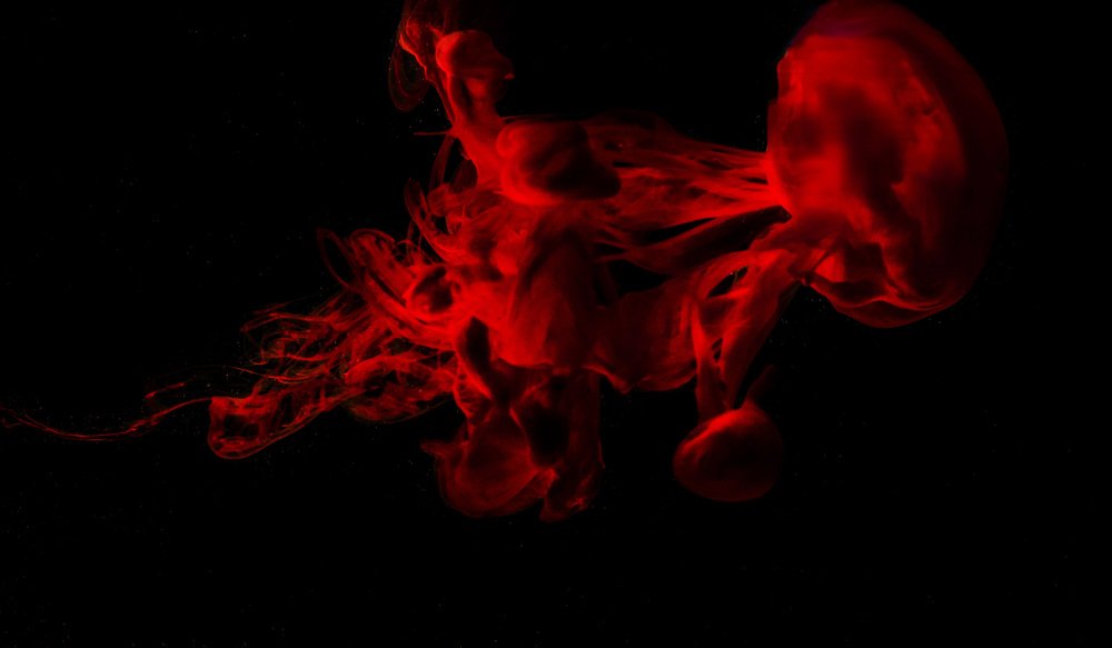 Фотография автора Армашов-Тельник Григорий