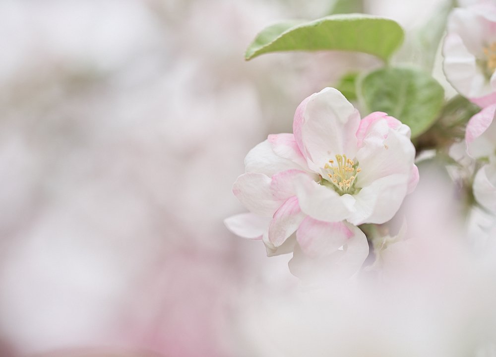 Фотография автора Сергей Овчинников