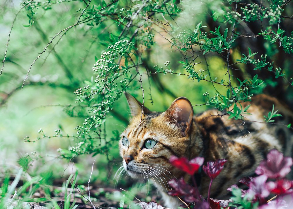 Photograph by Алексей Петрученя
