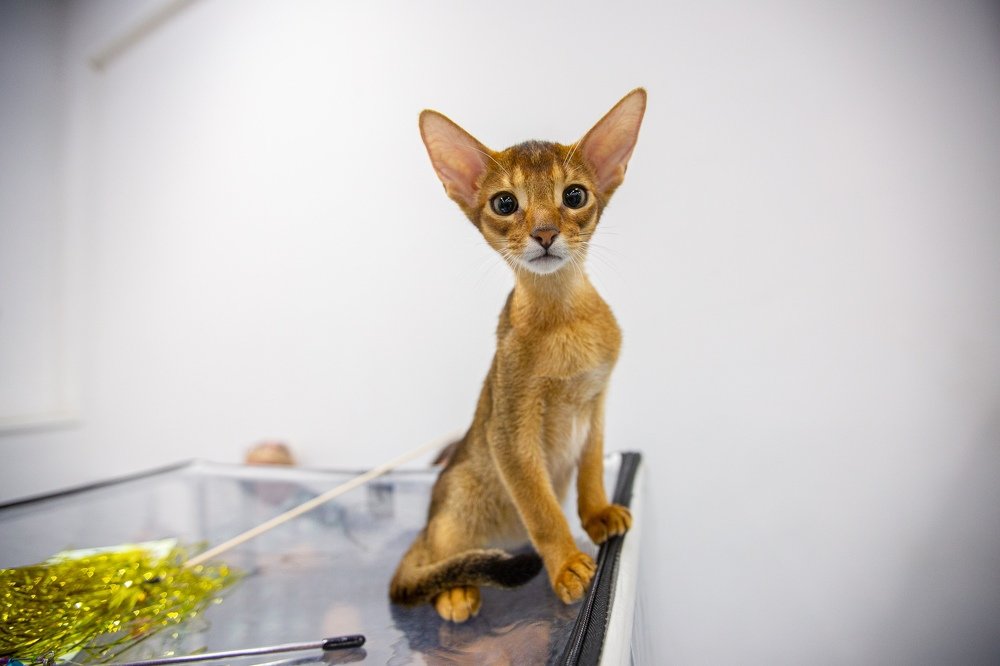 Photograph by Александр Дарсн