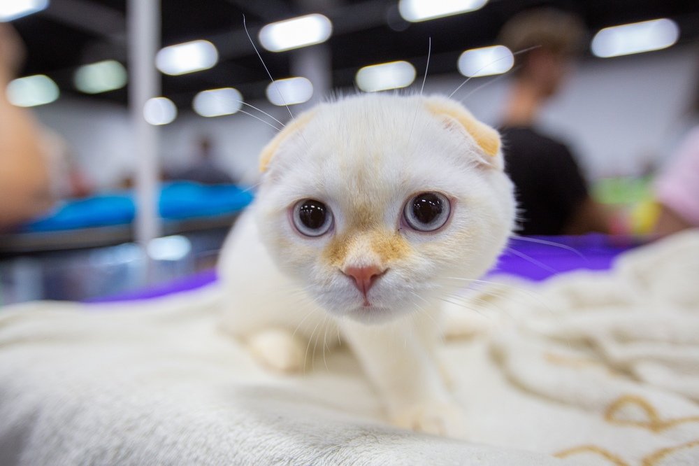 Photograph by Александр Дарсн