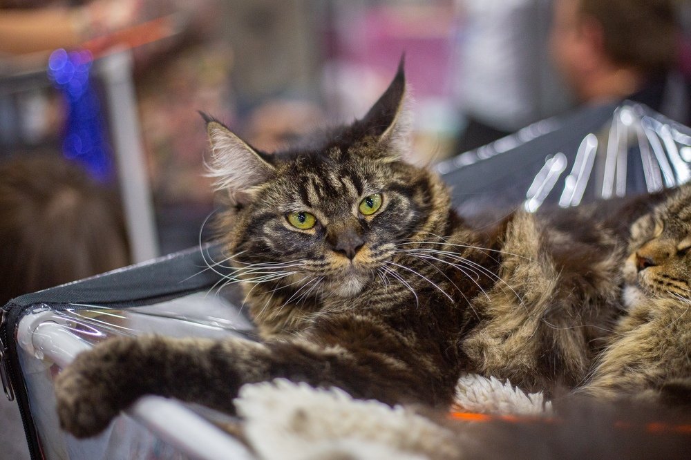 Photograph by Александр Дарсн