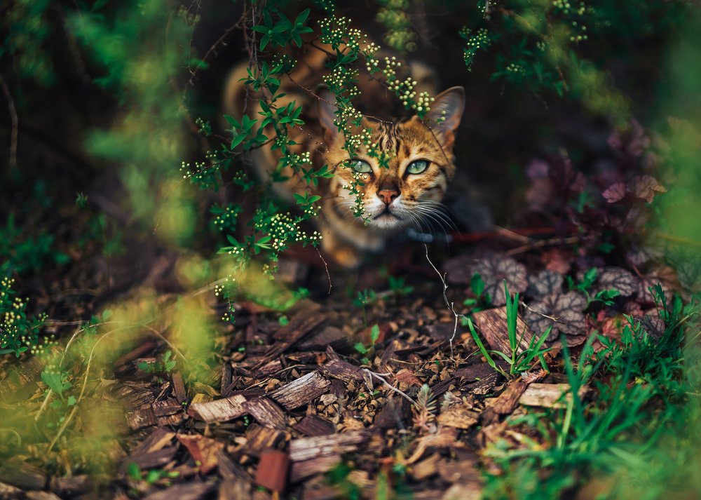 Photograph by Алексей Петрученя