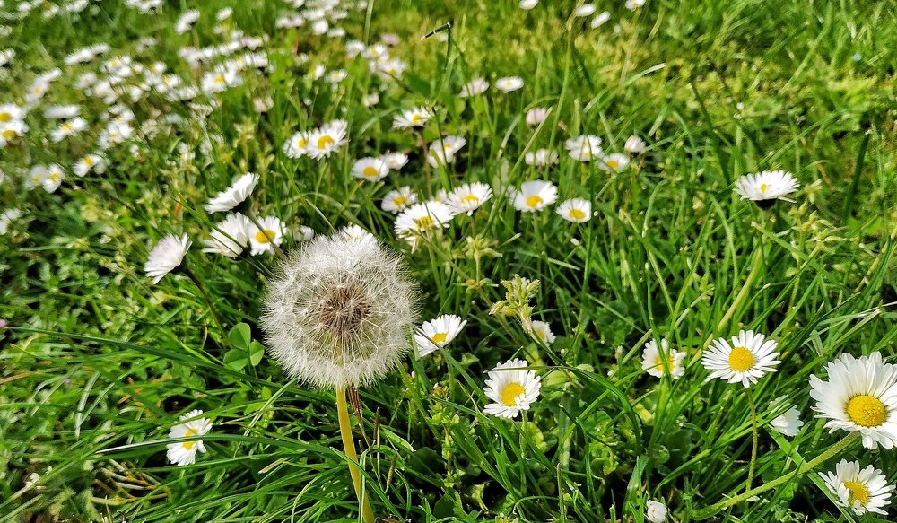 Photograph by Surya prakash Selvaraj
