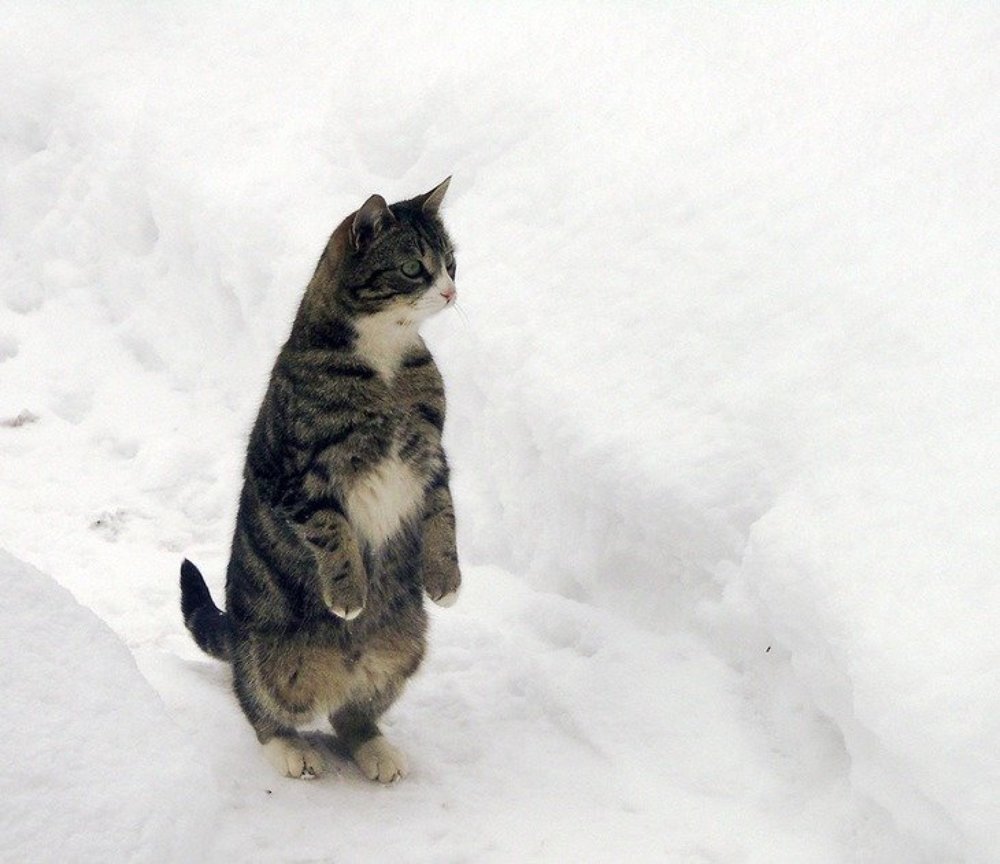 Photograph by Евгений Барзенков