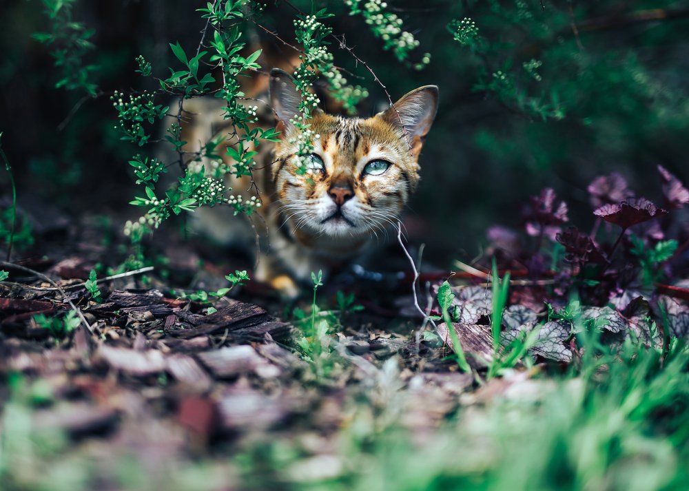 Photograph by Алексей Петрученя