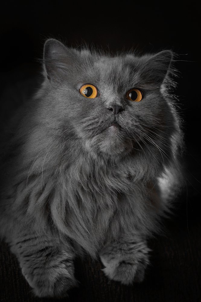 Photograph by Анастасия Гайкова