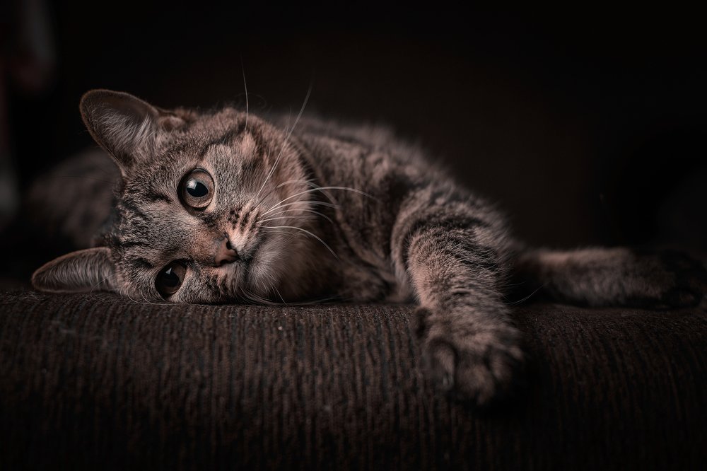 Photograph by Анастасия Гайкова